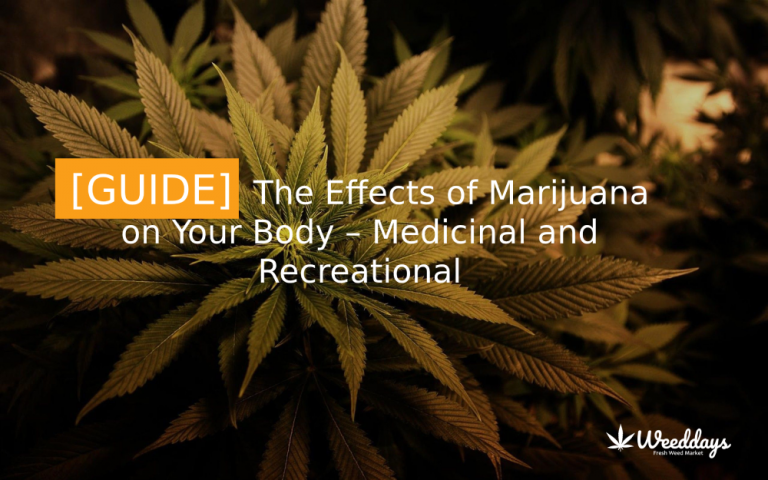 [GUIDE] The Effects of Marijuana on Your Body - Medicinal and ...