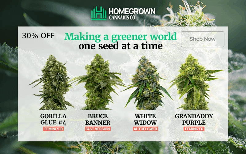 Homegrown Cannabis - Buy Marijuana Seeds | Weed Seeds For Sale | Cannabis Seeds