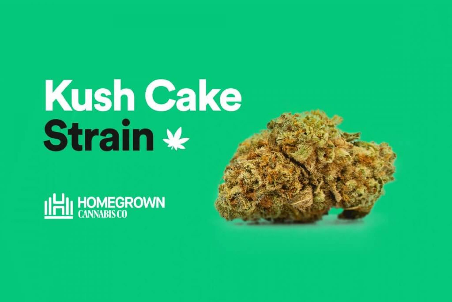 Kush Cake Strain Info & Review Online Weed Deals & Discount Coupon