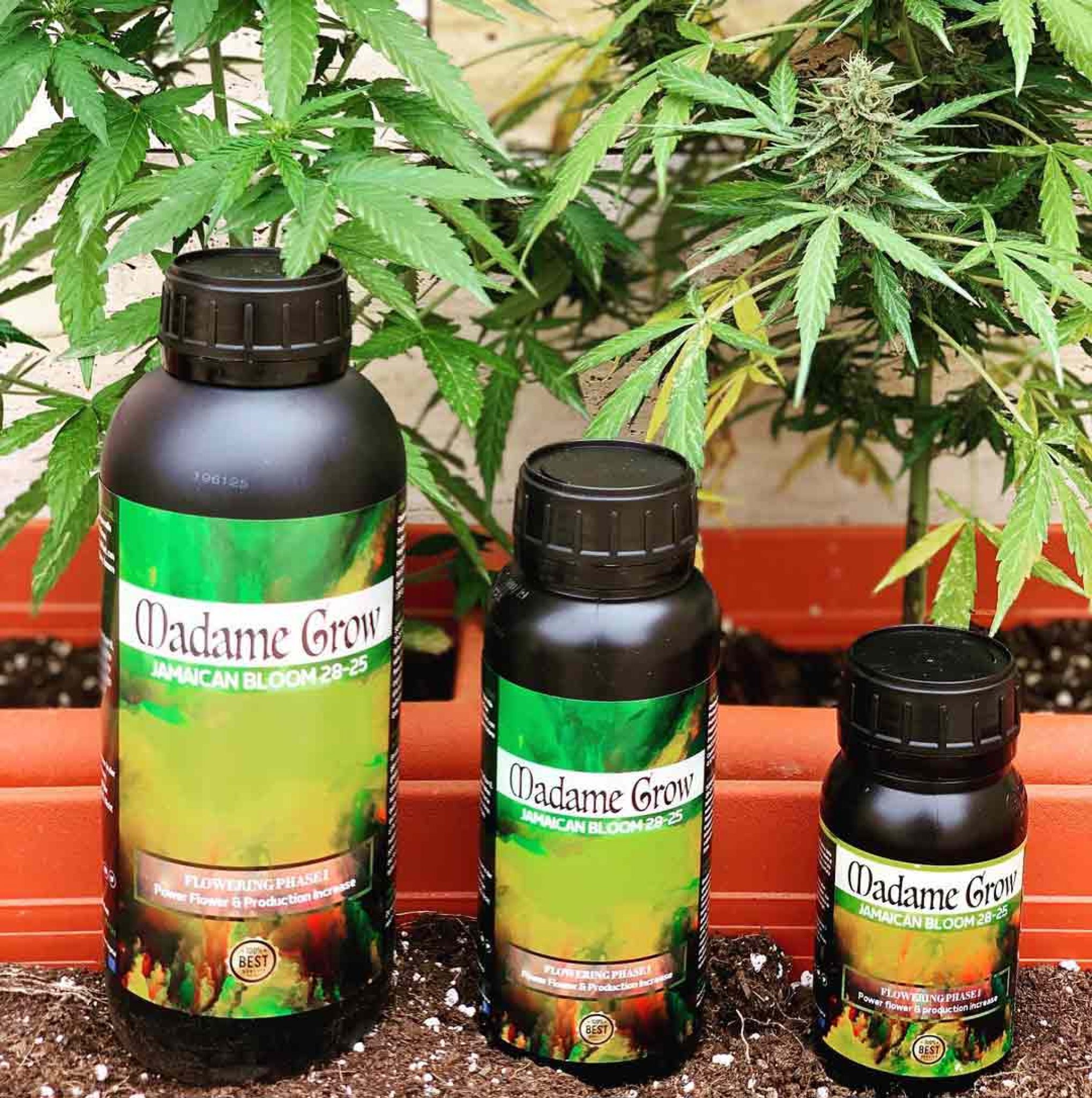 Best Liquid Organic Flowering Fertilizer Online Weed Deals & Discount