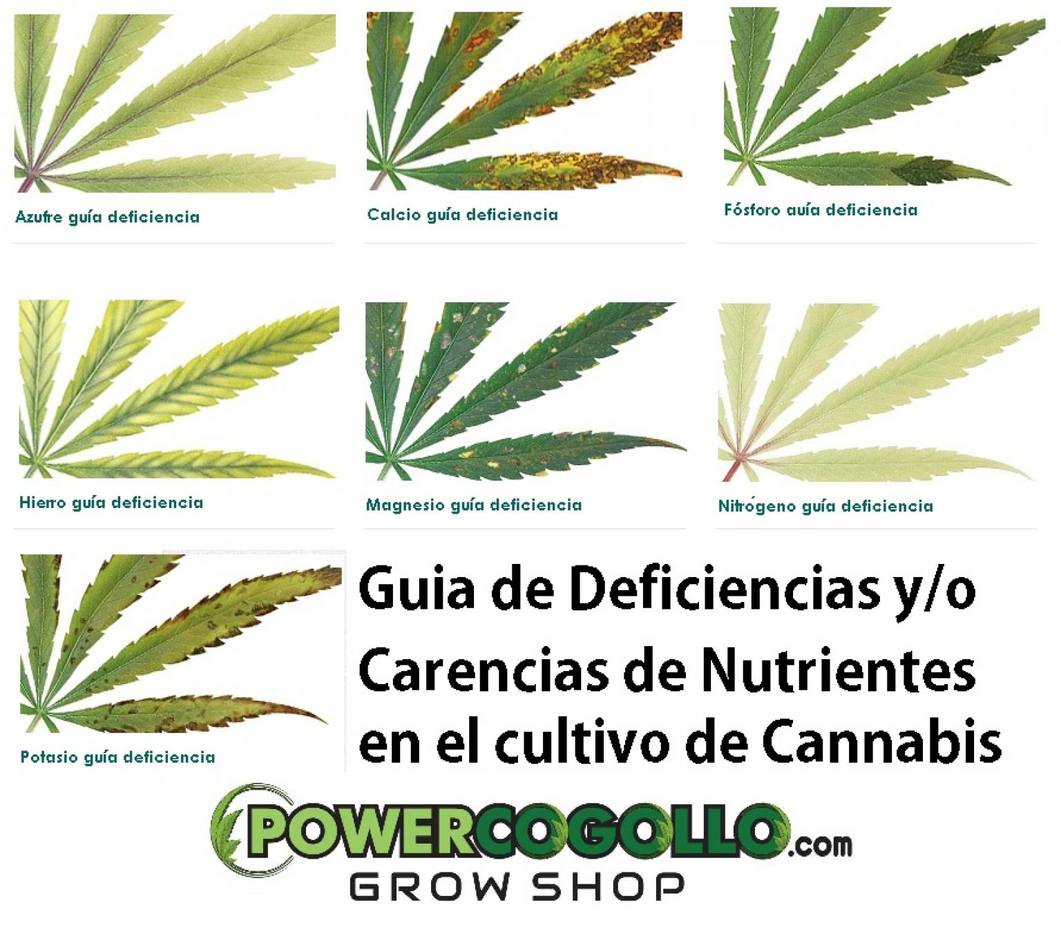 Cannabis Leaf Deficiencies - Online Weed Deals & Discount Coupon Codes USA