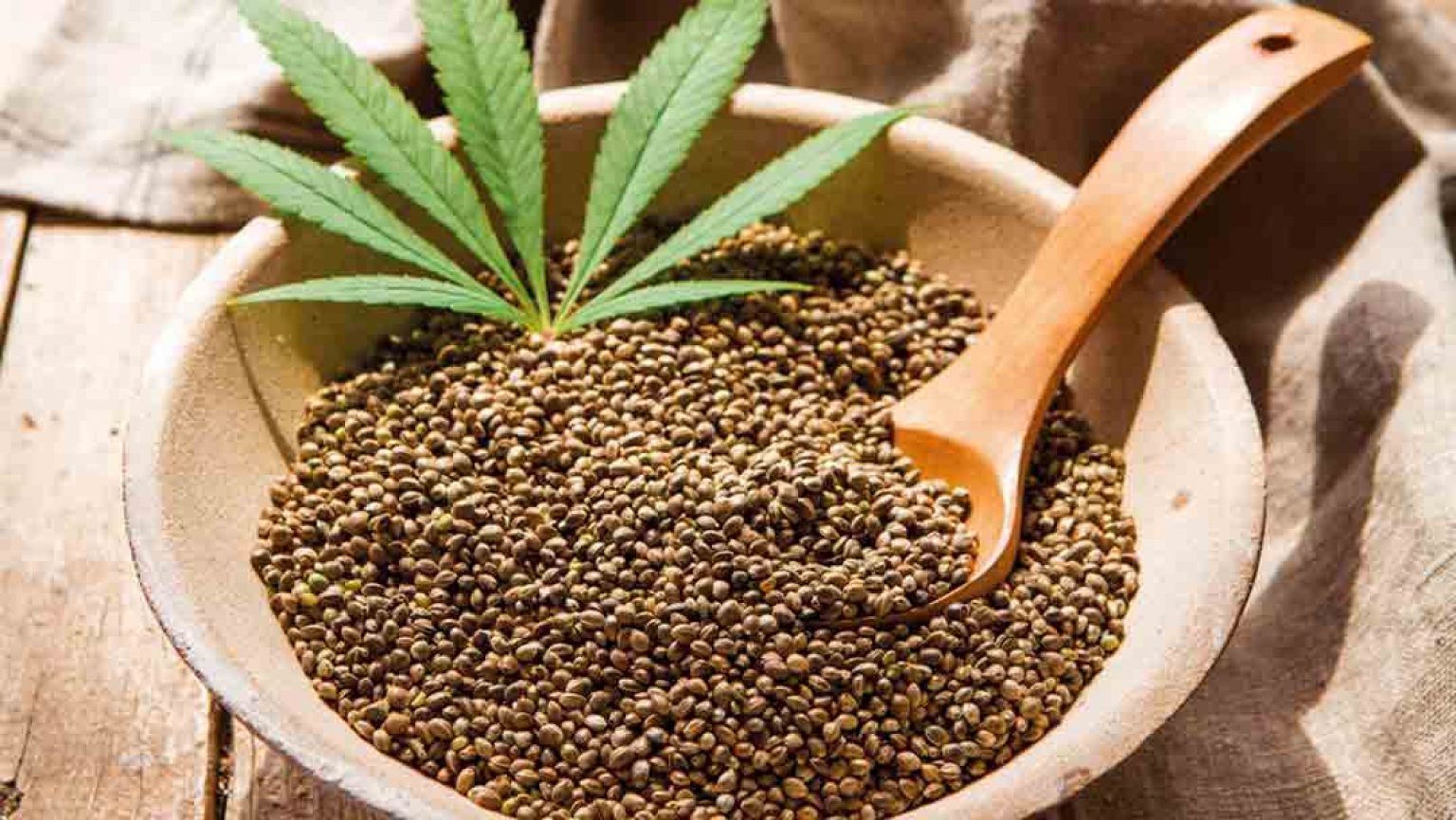 What is hemp protein? - Online Weed Deals & Discount Coupon Codes USA