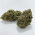 Buy AAAA Nuken Indica Dominant Hybrid Marijuana Strain Online