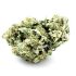 Buy AAAA Nuken Indica Dominant Hybrid Marijuana Strain Online