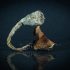 Buy PES/PESA Amazonian Dried Magic Mushrooms