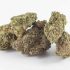 Buy AAA Red Durban Poison Sativa Marijuana Strains