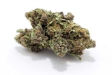 Buy AAAA Purple Punch Indica dominant Hybrid Marijuana Strain Online