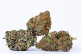 Buy AAAA Sativa Alien Apple + Online