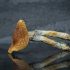 Buy PSILOCYBE CUBENSIS CAMBODIAN MAGIC MUSHROOM Online