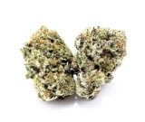 Buy AAAA High School Sweetheart  Hybrid Strain Online