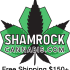 Buy Homegrown Cannabis – Buy Marijuana Seeds | Weed Seeds For Sale | Cannabis Seeds USA
