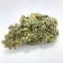 Buy AAAA Citrique HYBRID Sativa Cannabis Strain – Lowest Prices Online