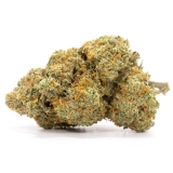 Tom Ford Pink Kush – Strongest Indica on this planet – Tom Ford Strain