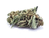 Budget Hybrid Rockstar Kush | BC Rockstar Marijuana Strain