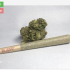 Hawaiian Haze CBD Hemp Flower Buds For Sale