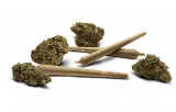 Buy Crescent Canna Bubba Kush Hemp Flower Pre-rolls Joints