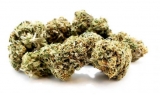Buy AAAA Citrique HYBRID Sativa Cannabis Strain – Lowest Prices Online