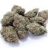 Buy AAAA Pink Kush aka Pink OG Online