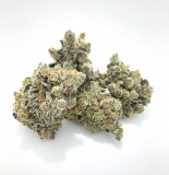Thin Mint Hybrid GSC aka Thin Mint Girl Scout Cookies
